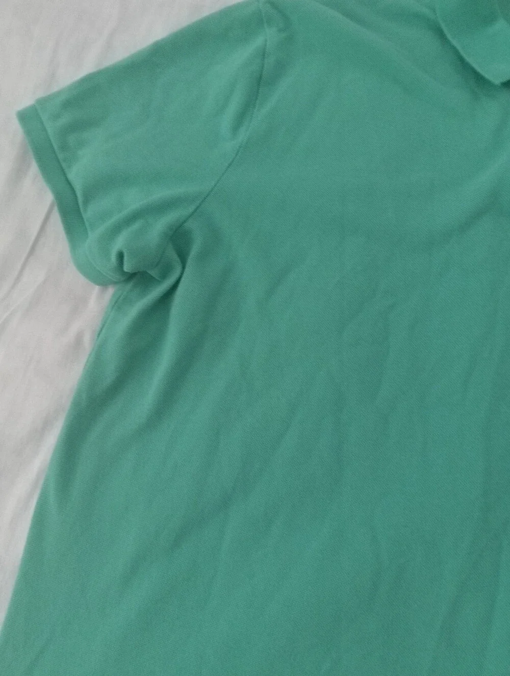 Polo Ralph Lauren Men's Polo Shirt in Mint Green with Pink Pony